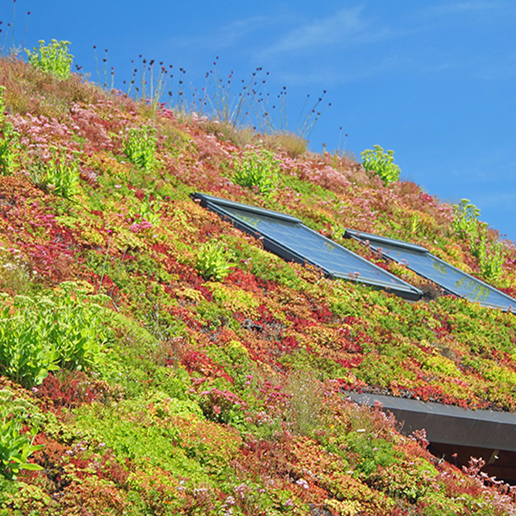 BREEAM Assessments