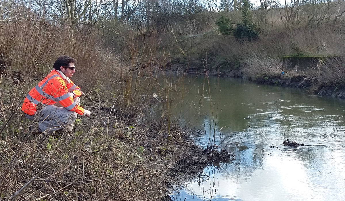 Flooding a Threat to Ecology