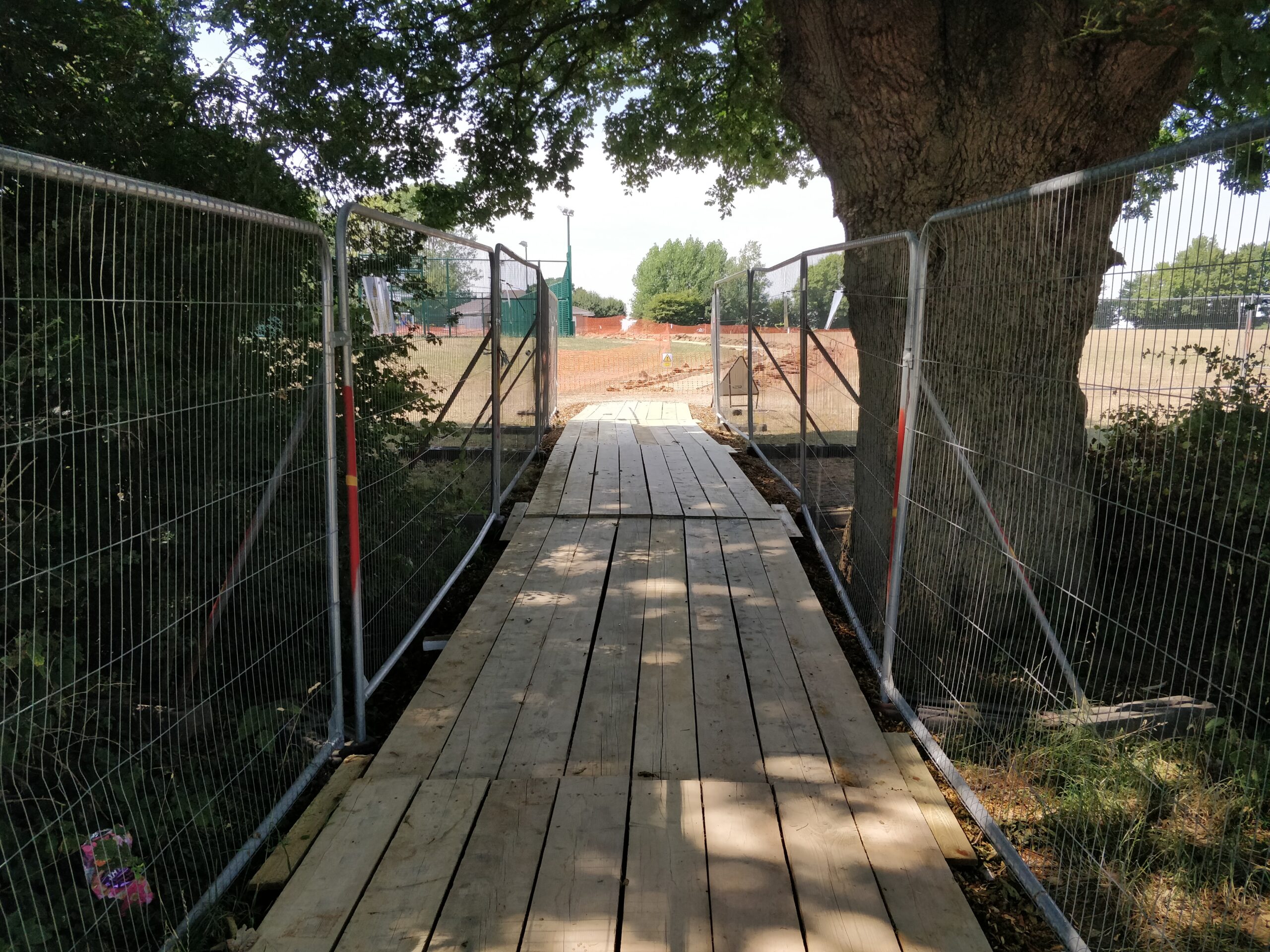 Construction of a permanent footpath adjacent to several ancient trees.