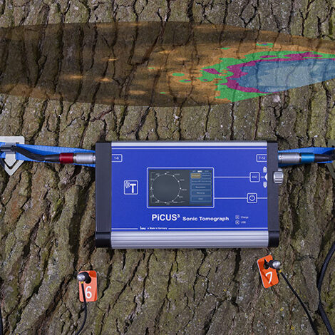 picus sonic tomograph in use